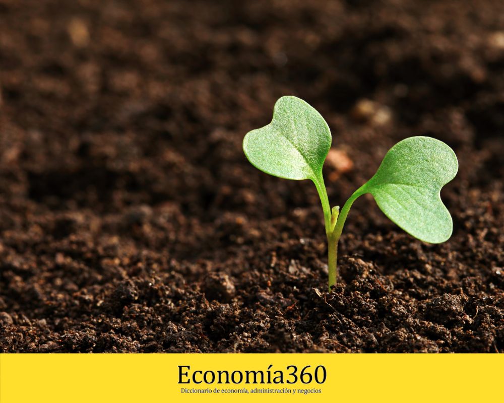 Funciones de Producción (en Economía): Definición, Qué es y Ejemplos | 2026