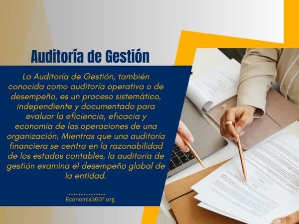 Auditoría de Gestión