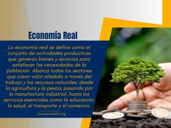 Economía Real